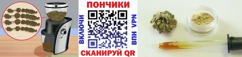Cannafood марихуана  Полярные Зори 