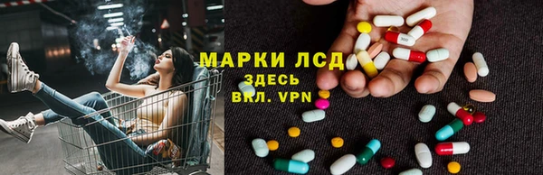 мяу мяу мука Алзамай